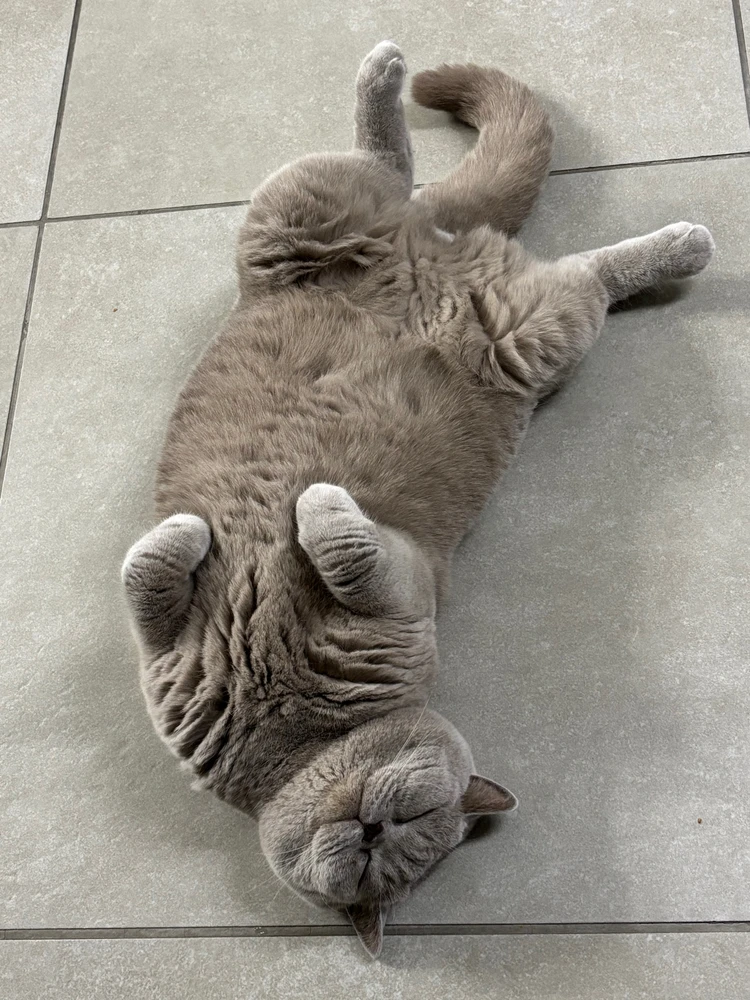 Image uploaded by Yasmin