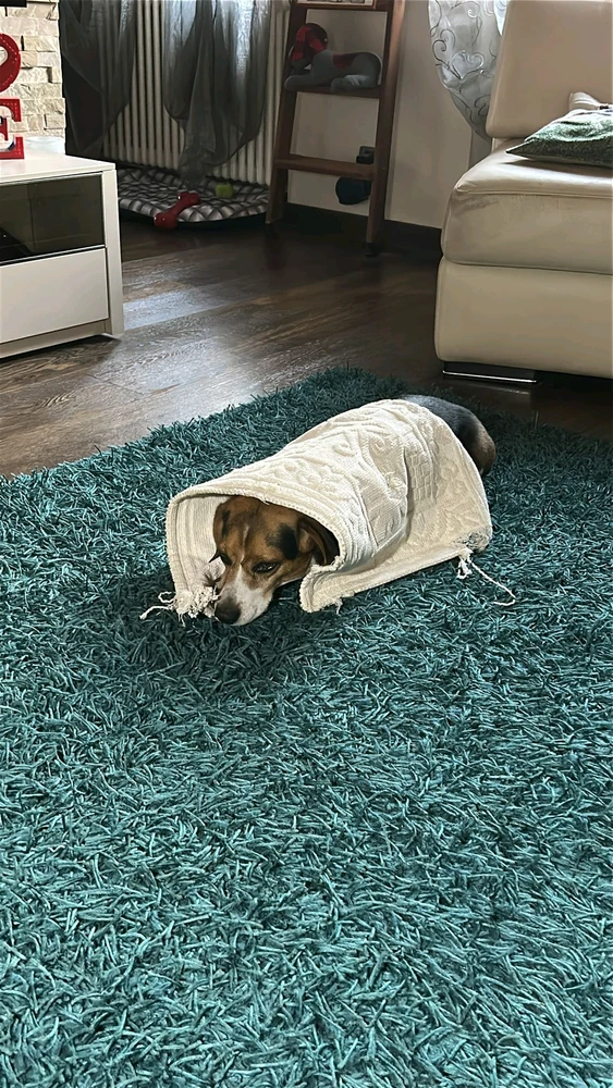 GIF caricata da Giovanni