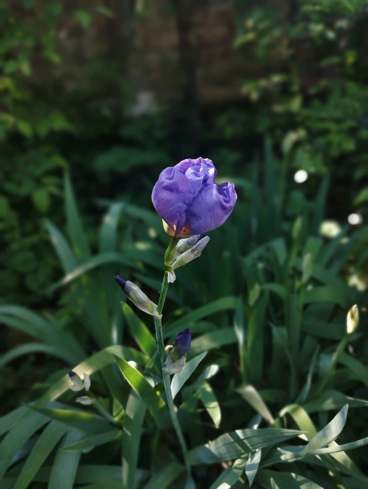 Image uploaded by Milijana