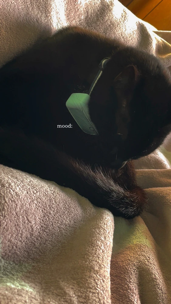 GIF hochgeladen von Angelina