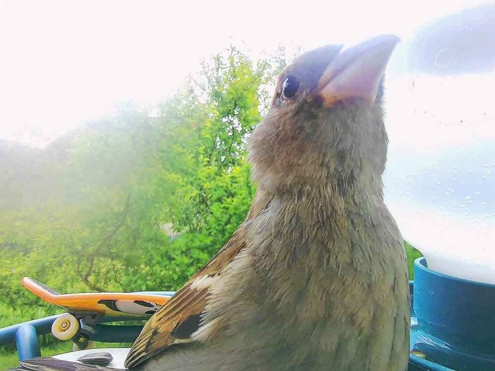 GIF hochgeladen von Cedric