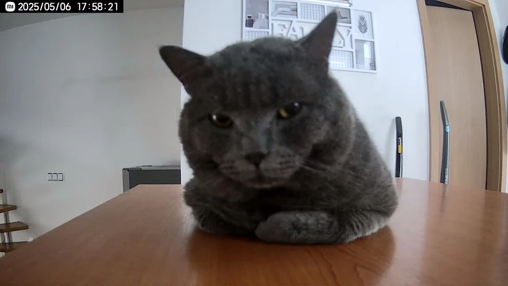 Obrázek nahrál Tereza