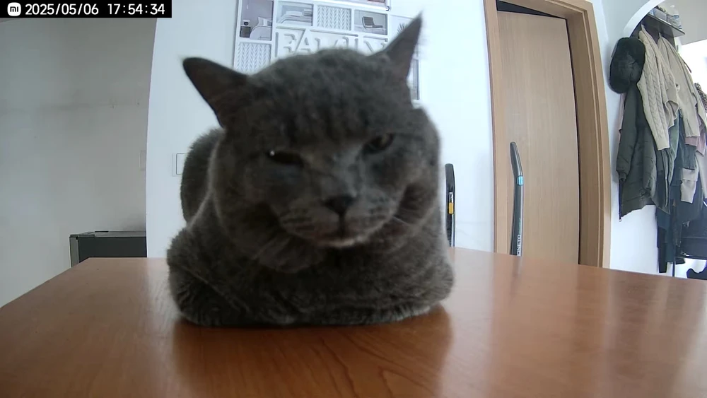 Obrázek nahrál Tereza