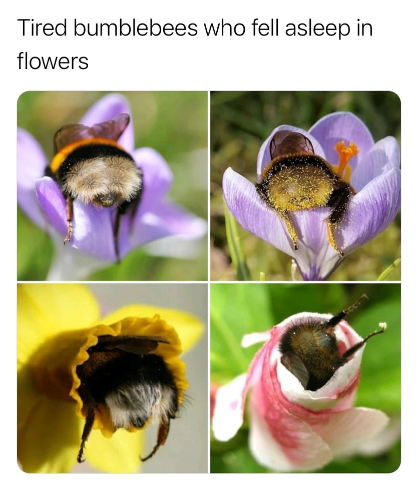 GIF hochgeladen von 𝕁𝕖𝕤𝕤𝕚𝕔𝕒