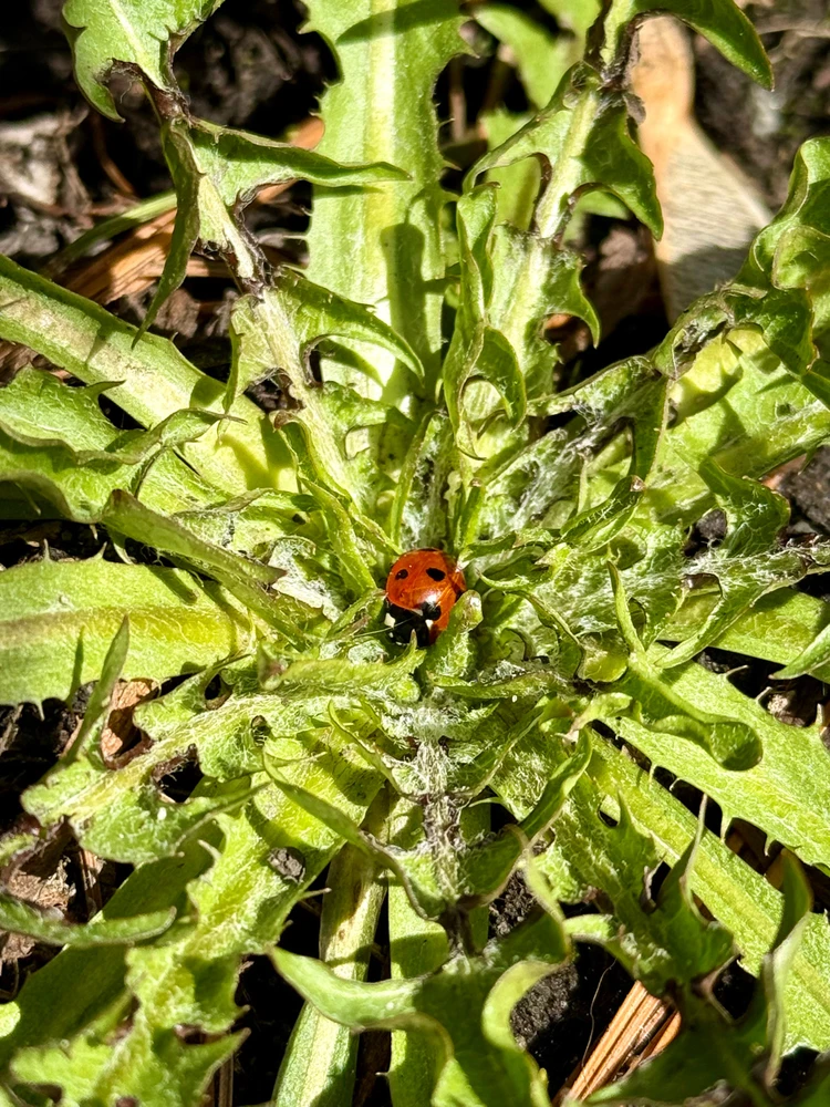 GIF uploaded by Alena