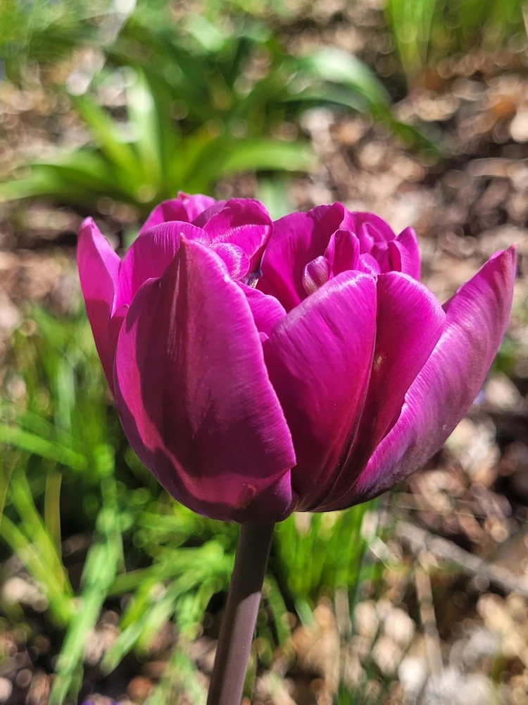 Image uploaded by Evan