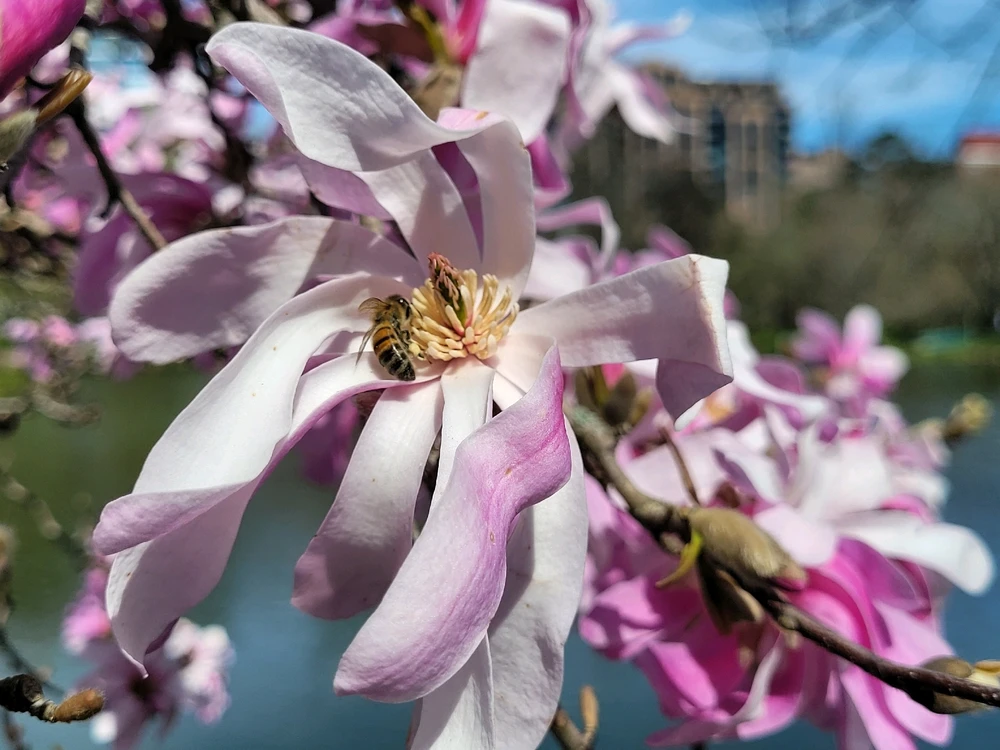 Image uploaded by Evan