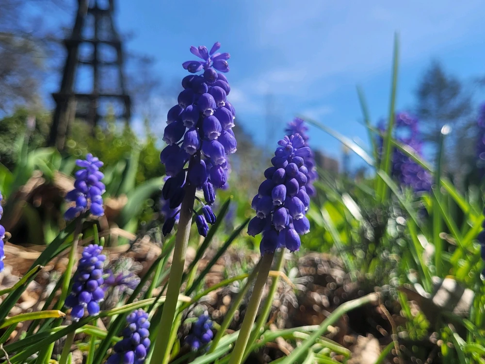 Image uploaded by Evan