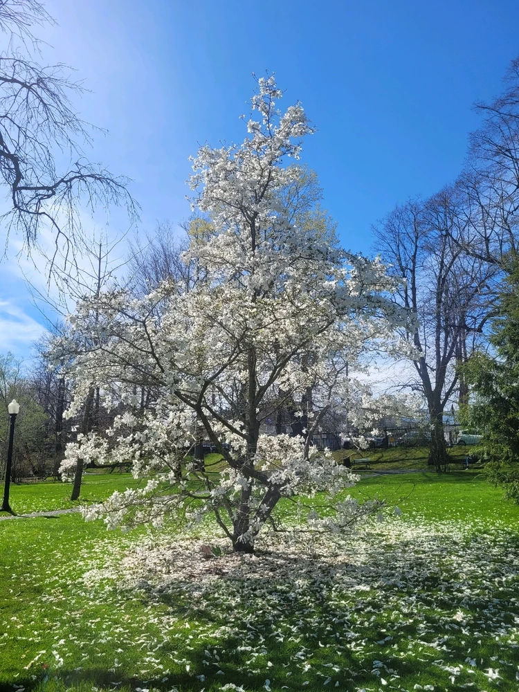 Image uploaded by Evan