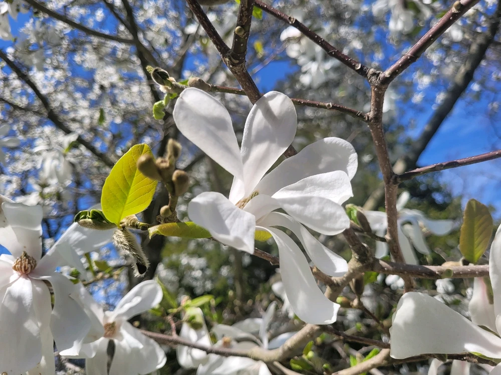 Image uploaded by Evan