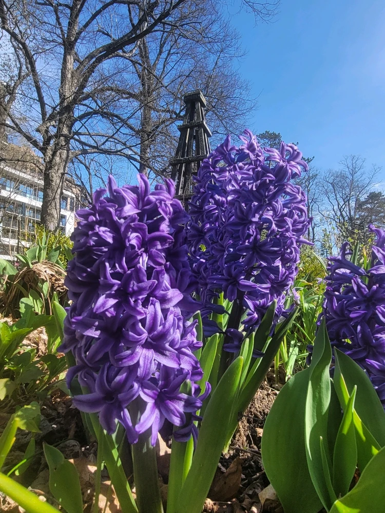 Image uploaded by Evan