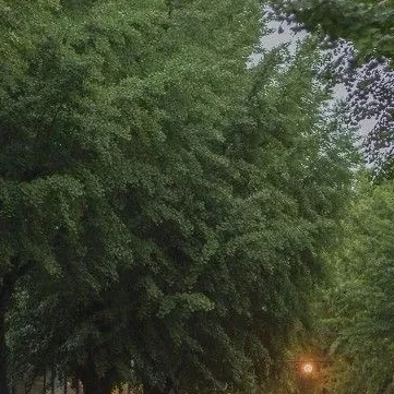 GIF được Bé yêu tải lên