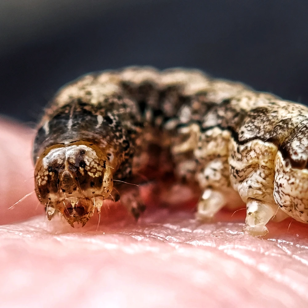 GIF dodany przez Karola