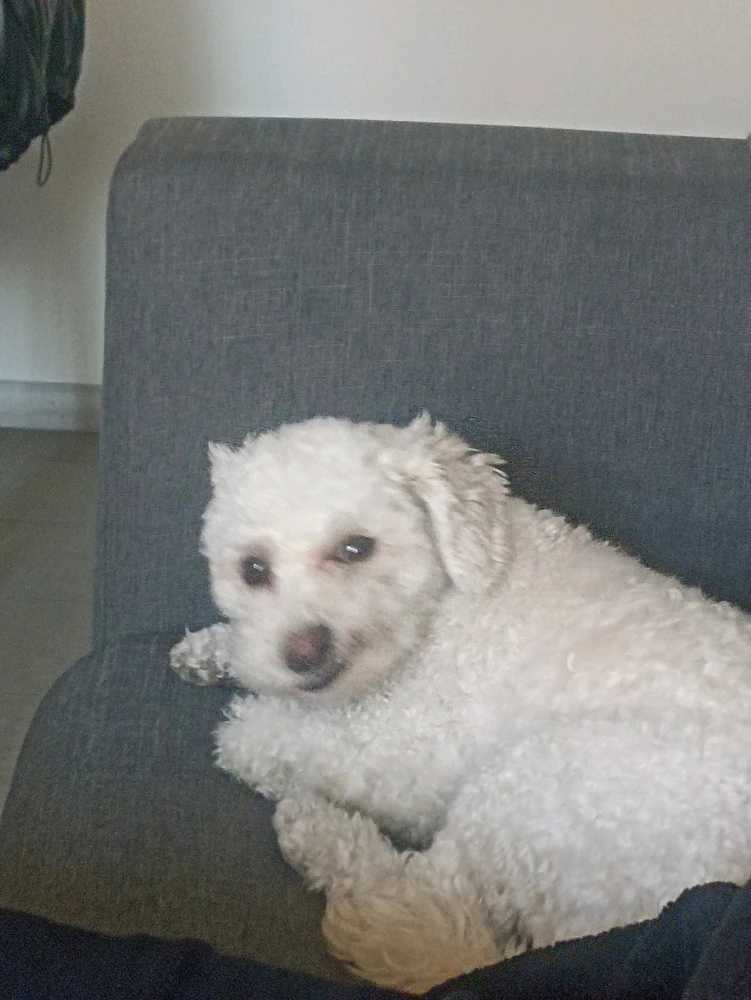 Imagen subida por Luciano