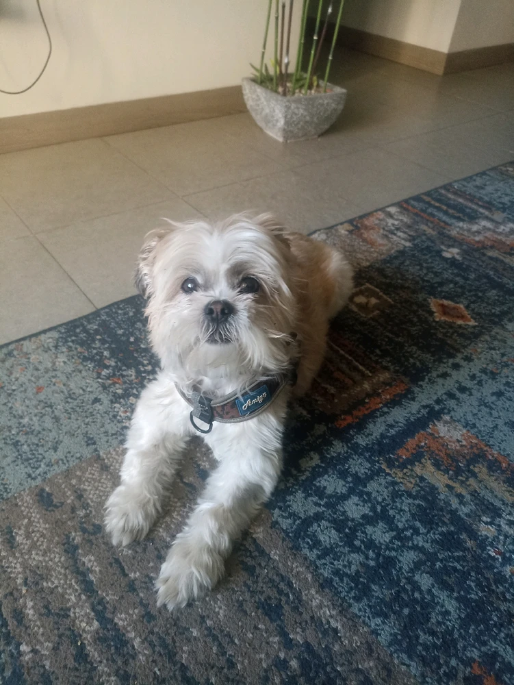 Imagen subida por Luciano