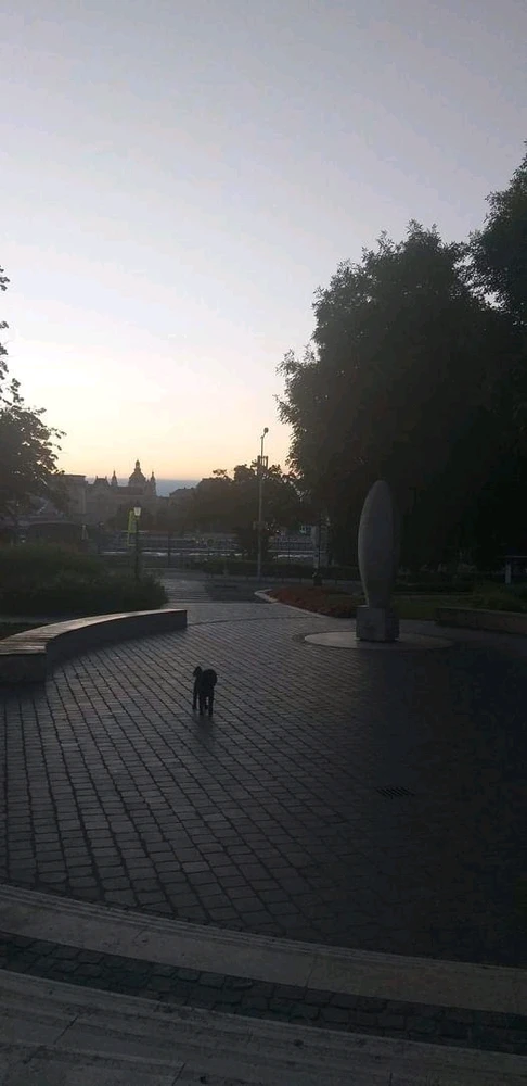 Image uploaded by Sky