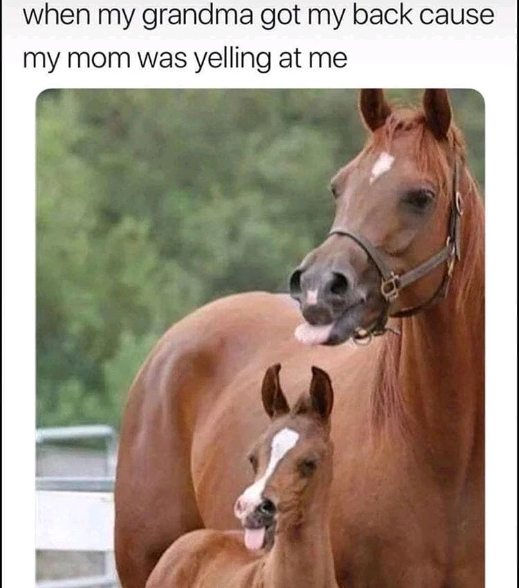 GIF-tiedoston lisäsi Maria