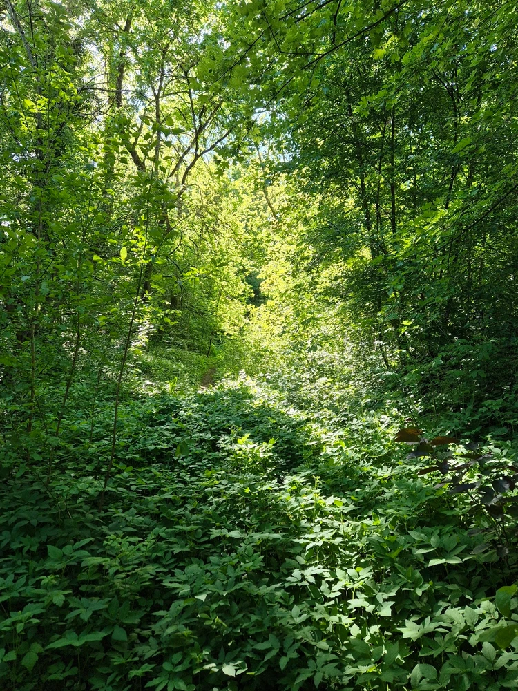 GIF hochgeladen von Danilo