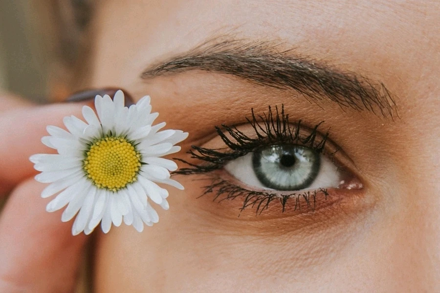 GIF ajouté par Aline