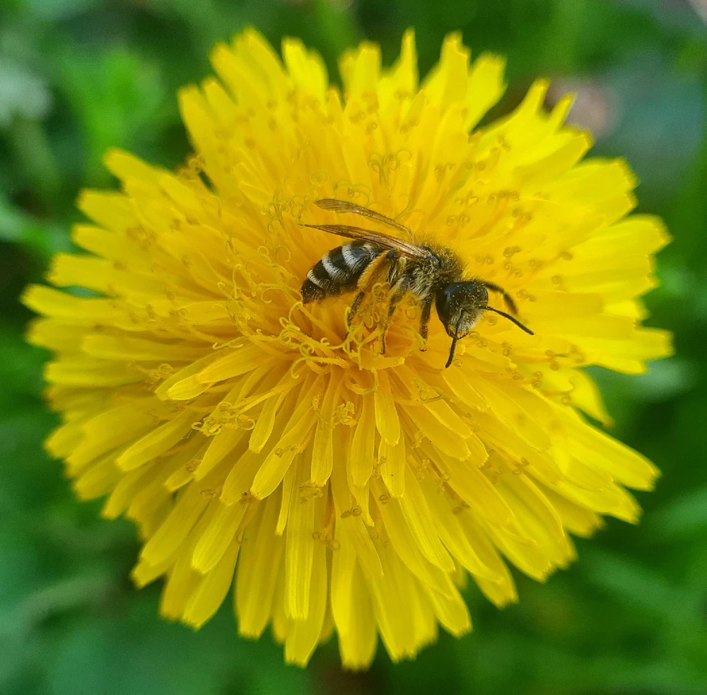 GIF uploaded by Stephen