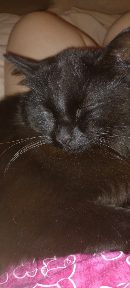 Image uploaded by Maria (Masha)