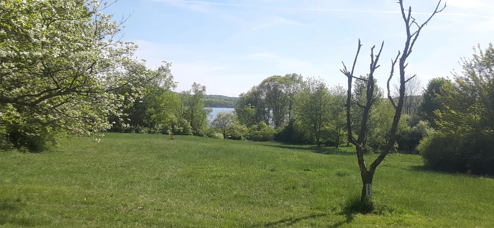 Image uploaded by Delton