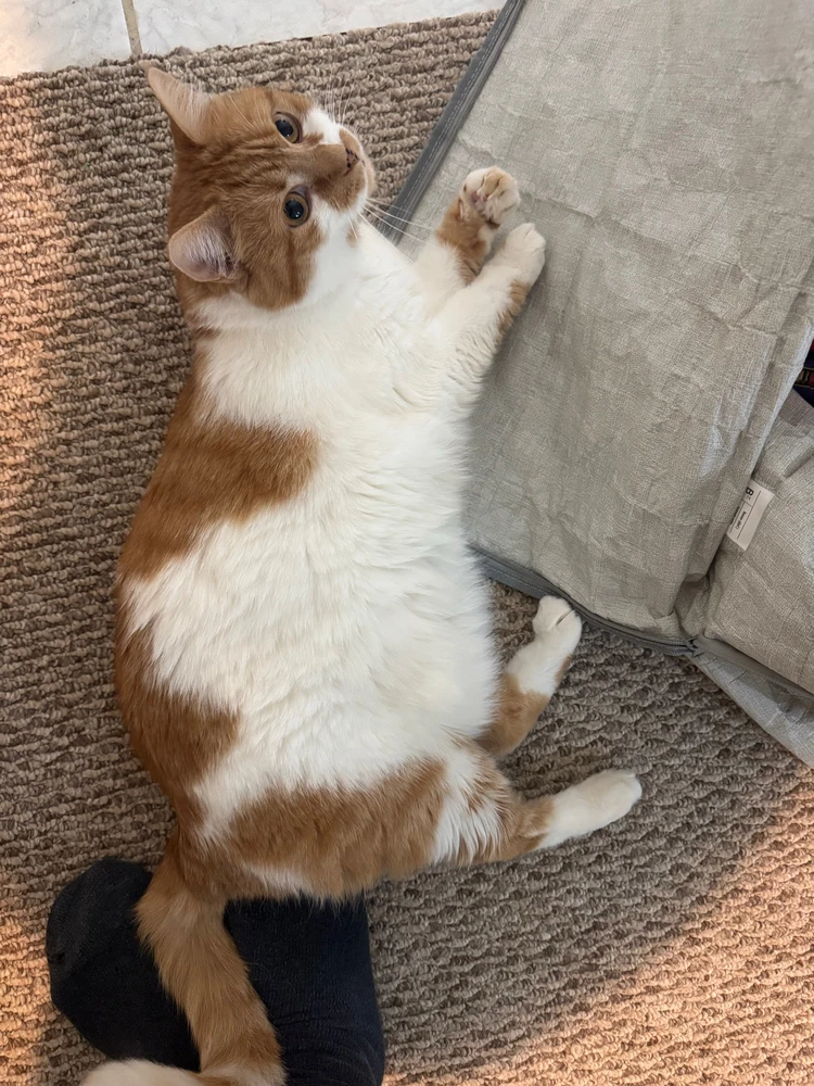 GIF uploaded by Shawn