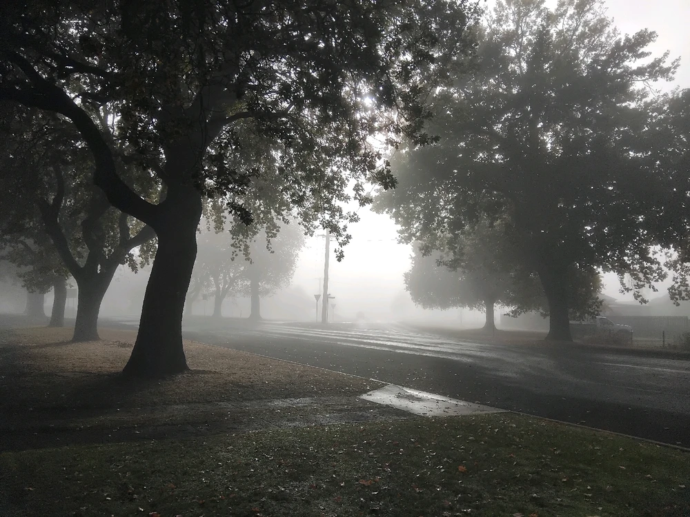 Image uploaded by Sam