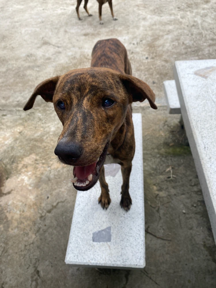 GIF อัปโหลดโดย Pemika