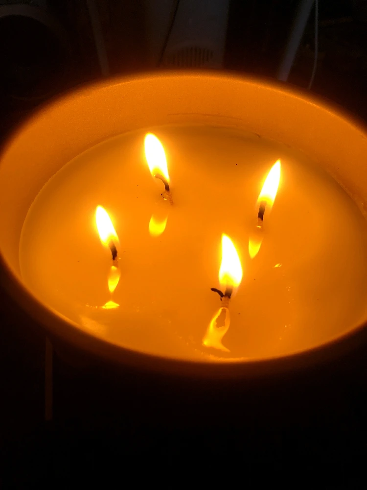 GIF uploaded by A༗