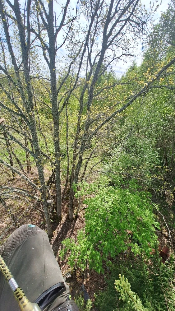 GIF uppladdad av Felix