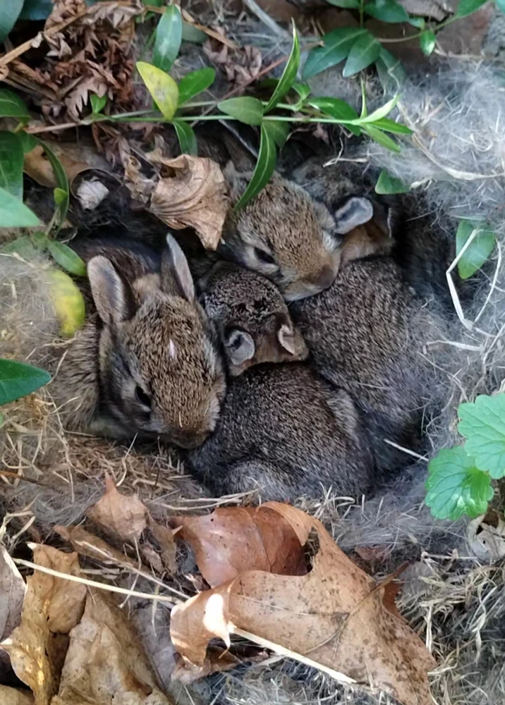 GIF uploaded by Ross