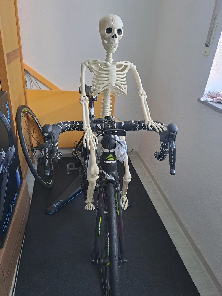 Bruno und ich Teil 3