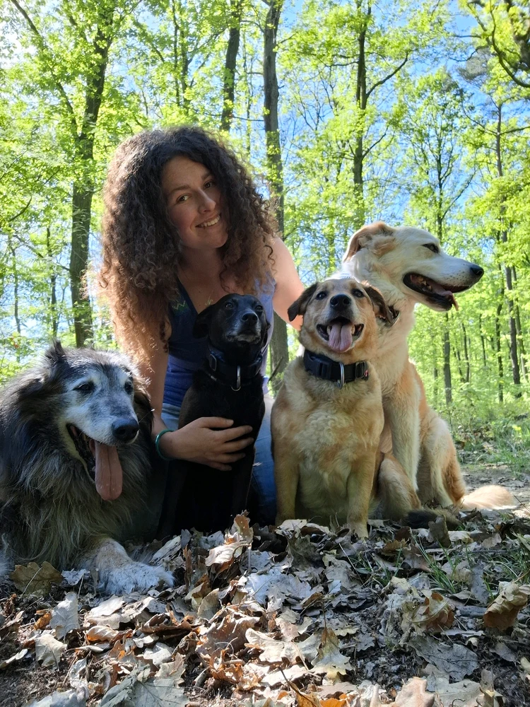 Obrázek nahrál Nora