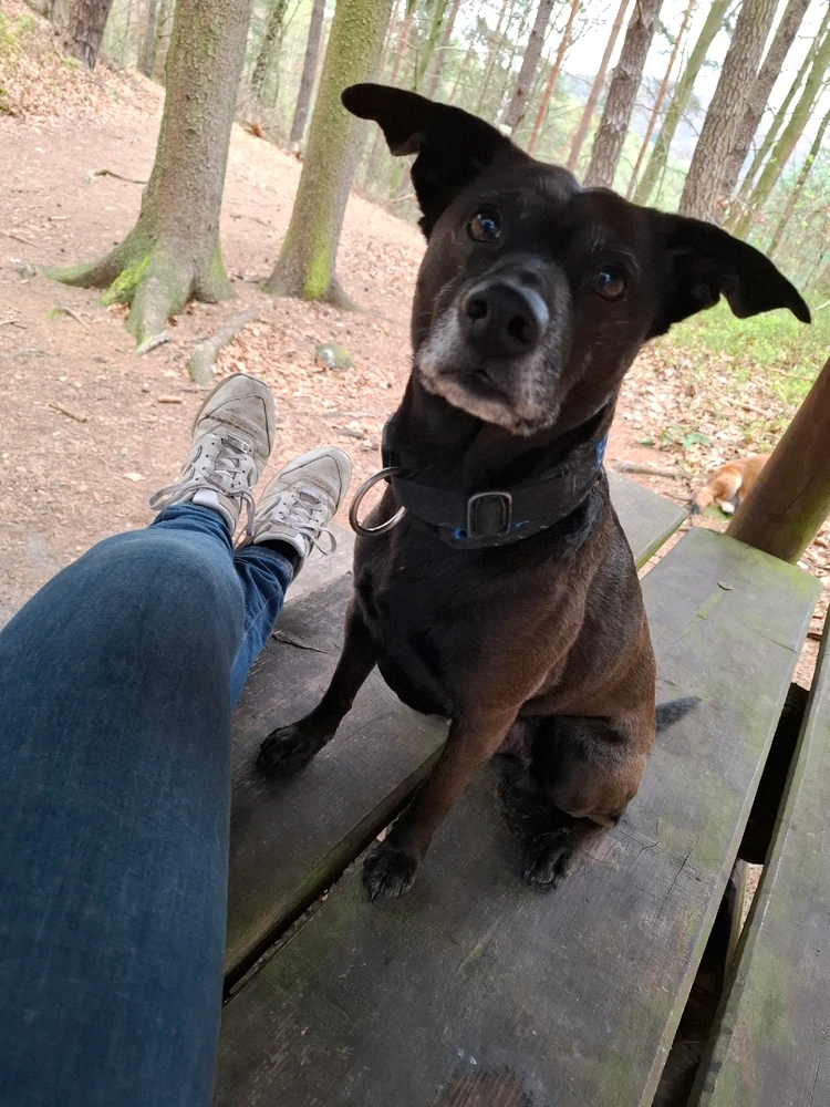 Obrázek nahrál Nora