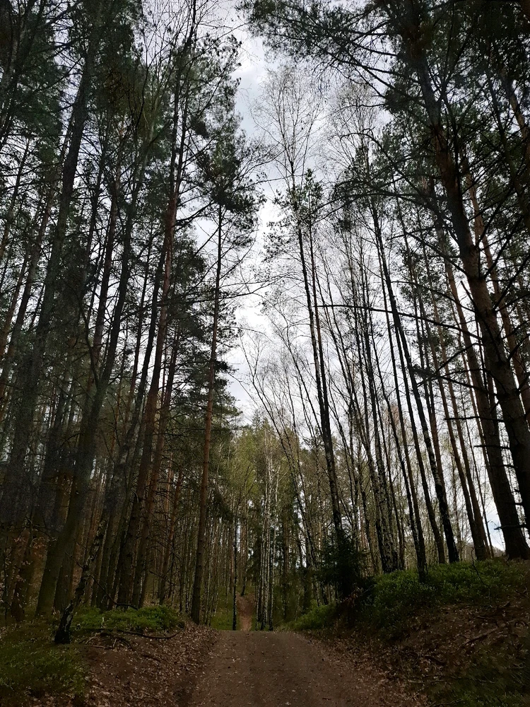 Obrázek nahrál Nora