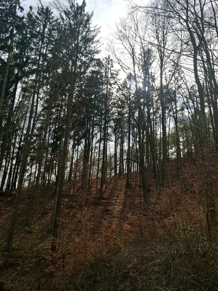 Obrázek nahrál Nora