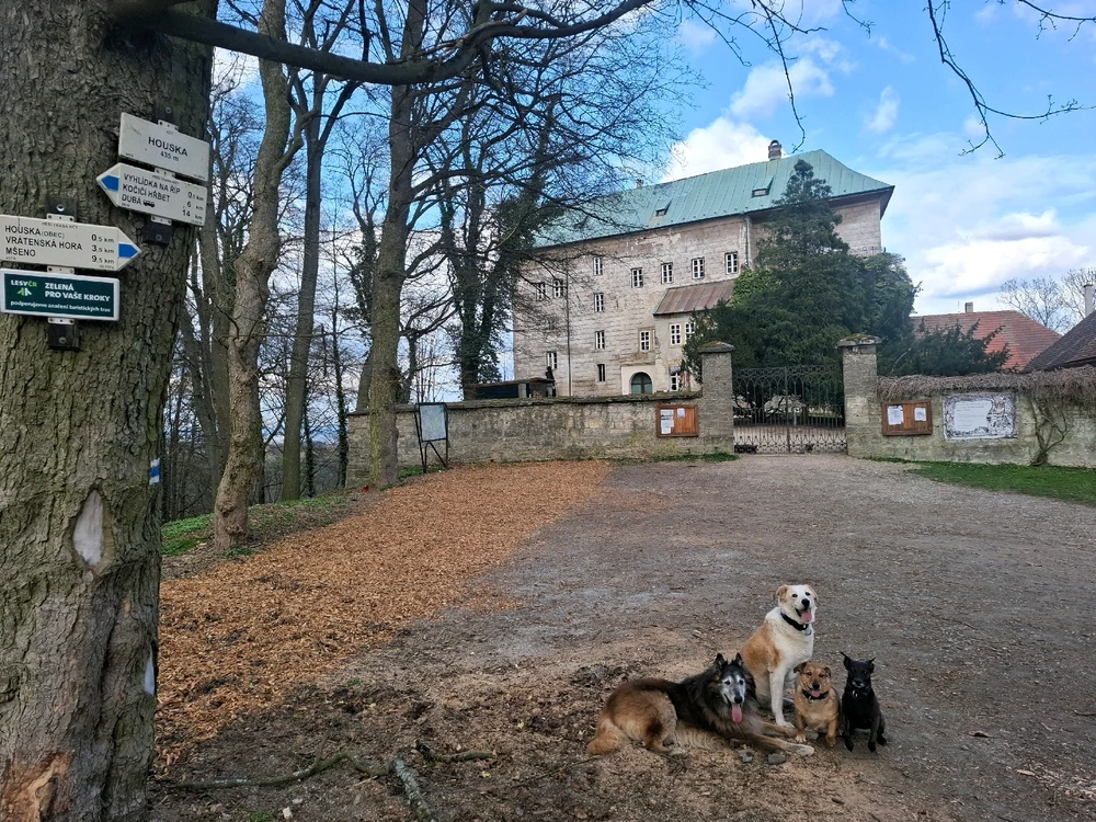 Obrázek nahrál Nora