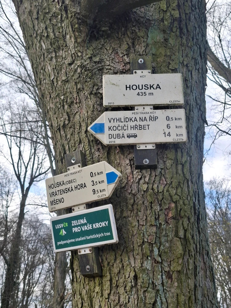 Obrázek nahrál Nora