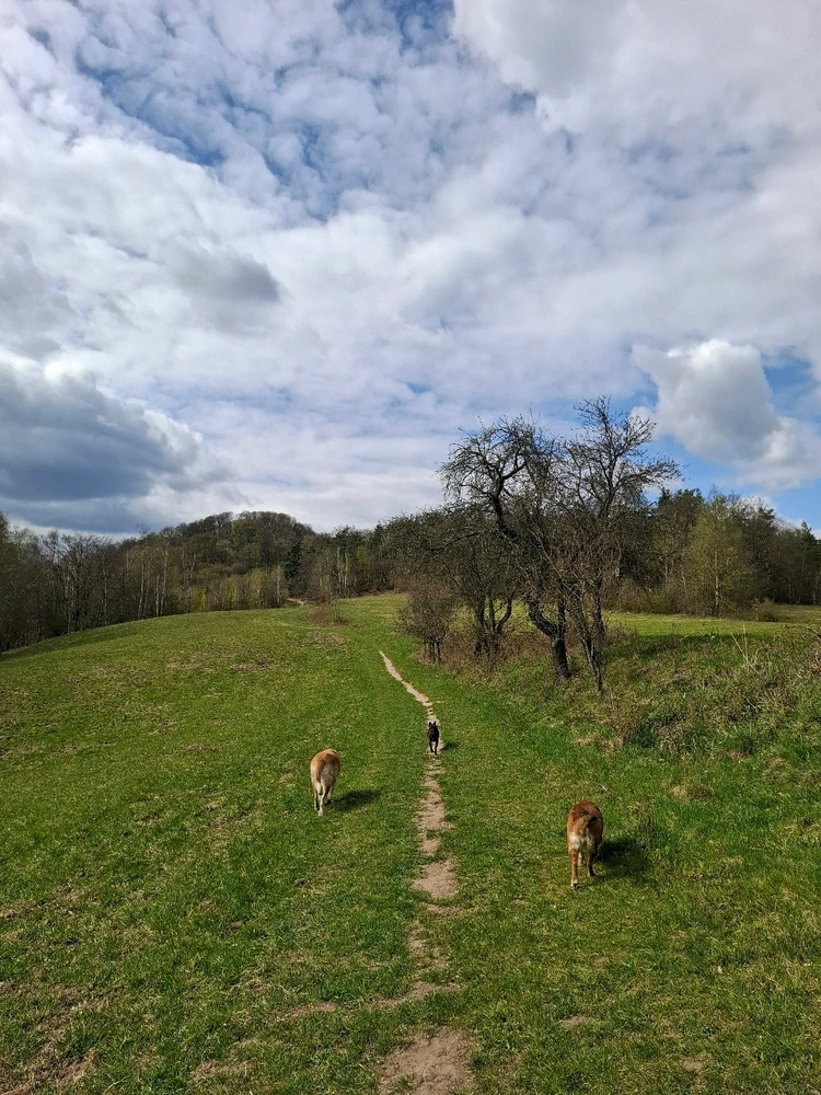 Obrázek nahrál Nora