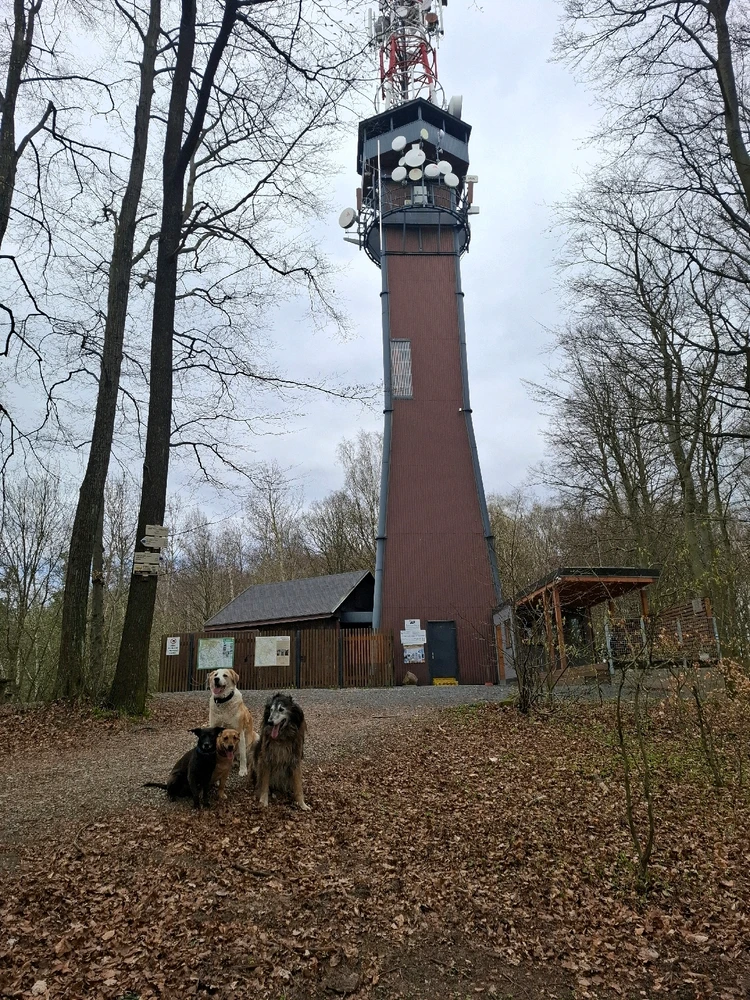 Obrázek nahrál Nora