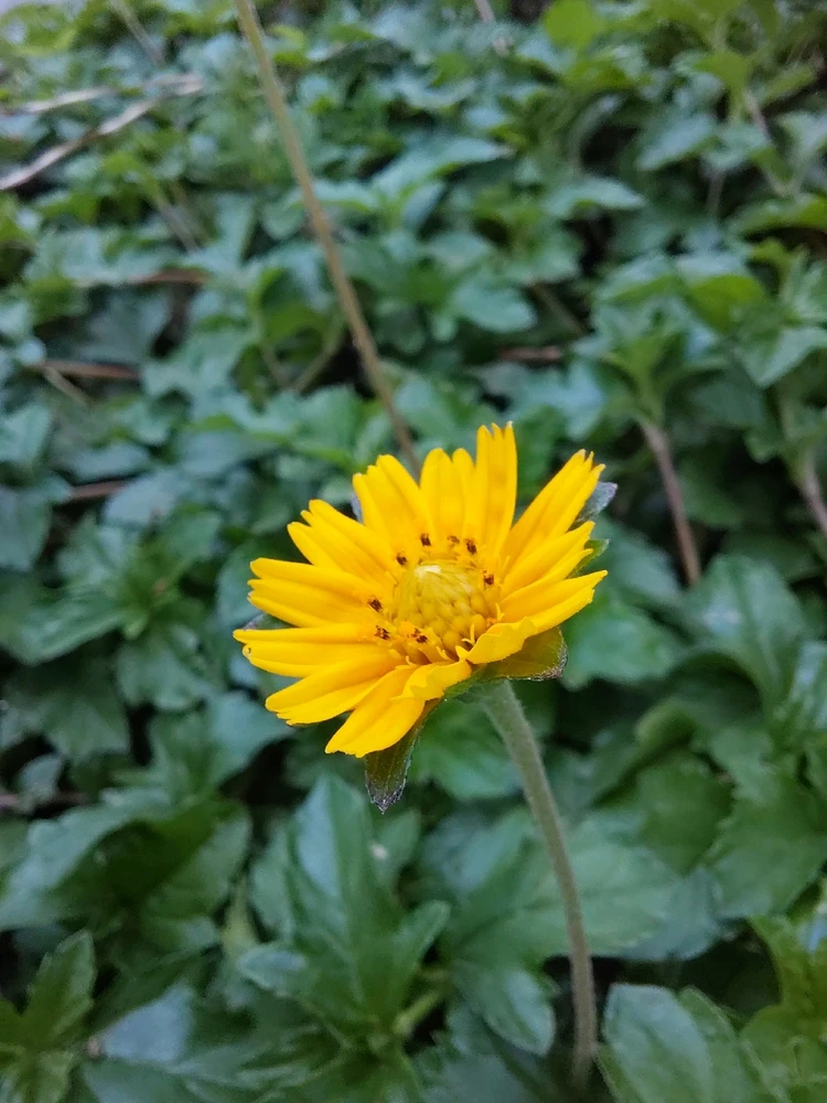 GIF uploaded by Diksha