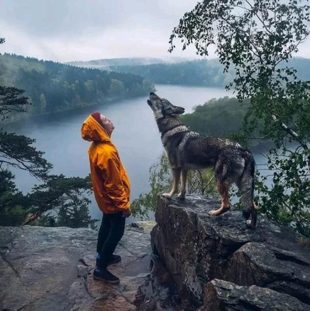 GIF uploaded by 🌳🍎🌲GardenofEden🌲🍎🌳