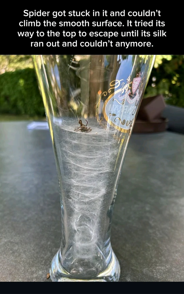 GIF geüpload door Melikşah