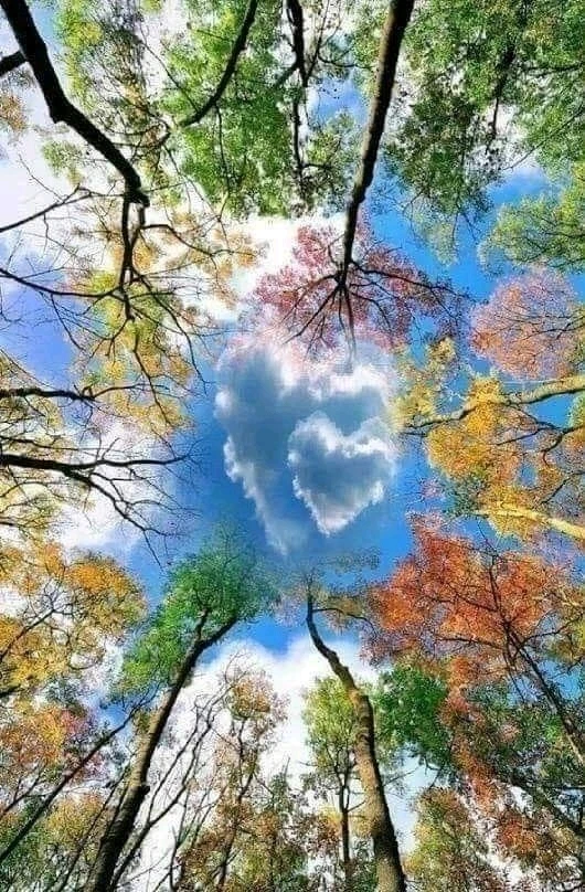 ⭐️ Bonne nuit. 😁