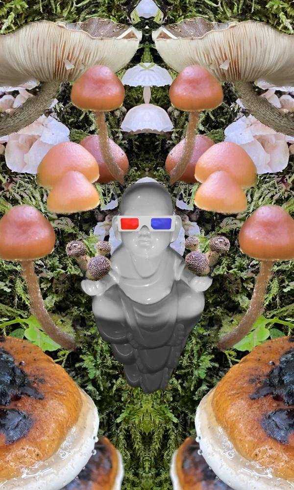Jay tomonidan yuklangan GIF