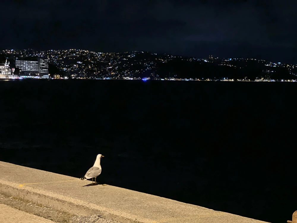 Yasin tarafından yüklenen GIF