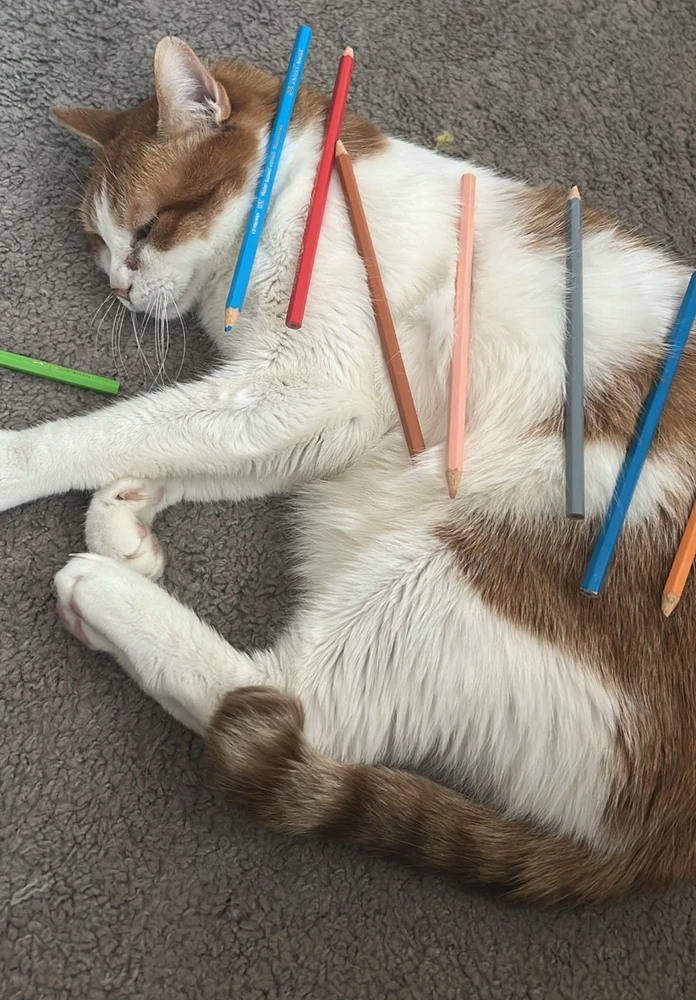 Bild hochgeladen von Alexander