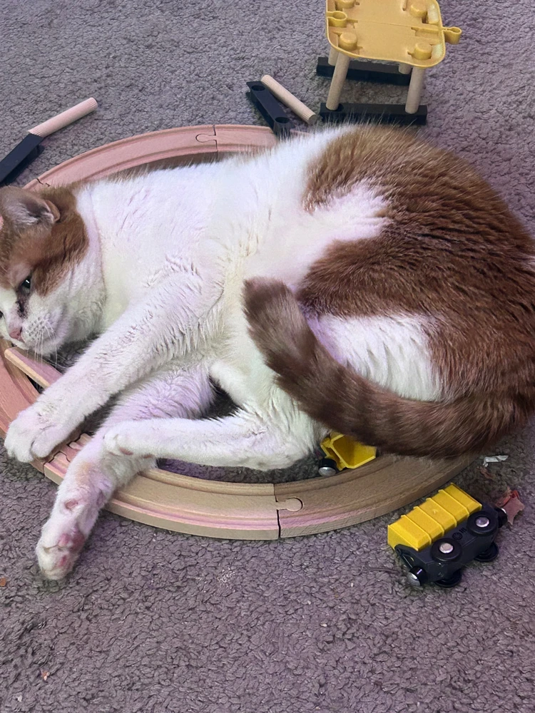 Bild hochgeladen von Alexander