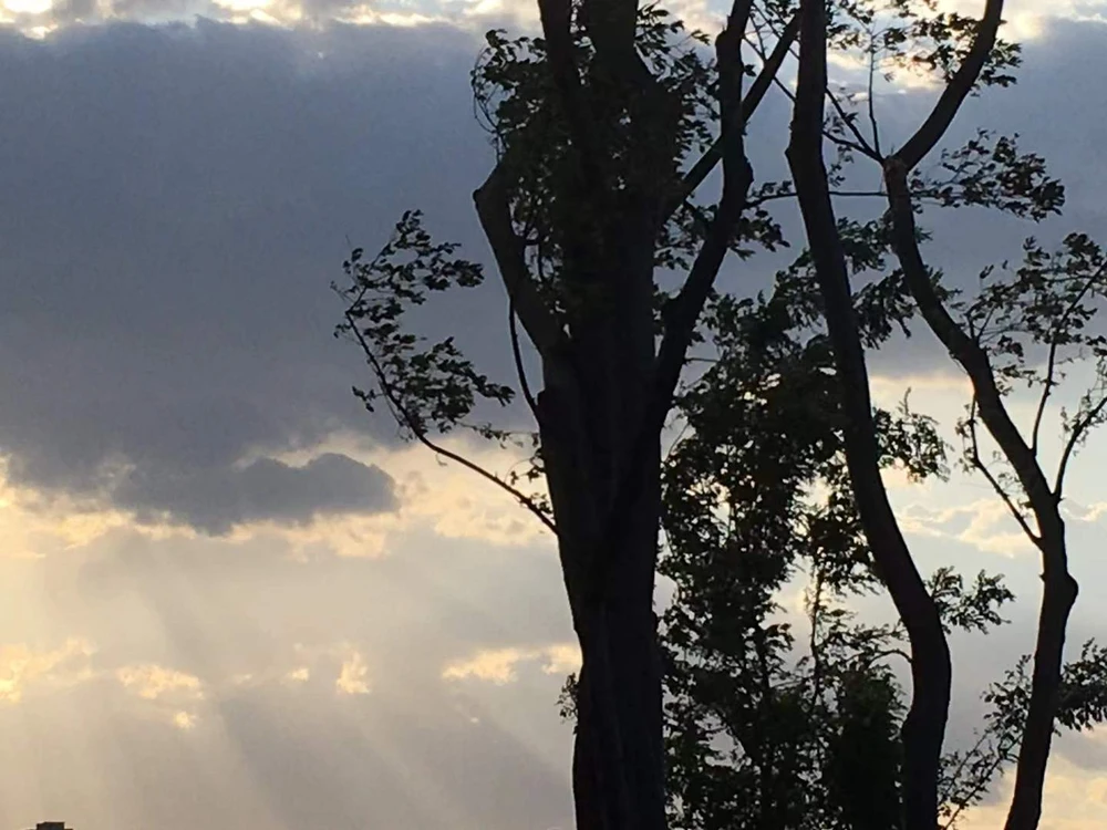 苏苏上傳的圖片